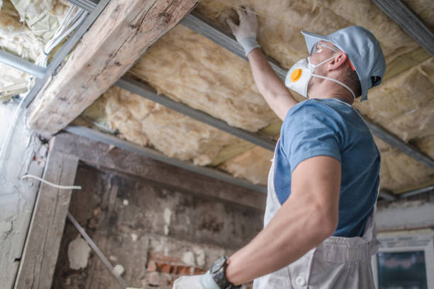 Best Spray Foam Insulation  in Yutan, NE
