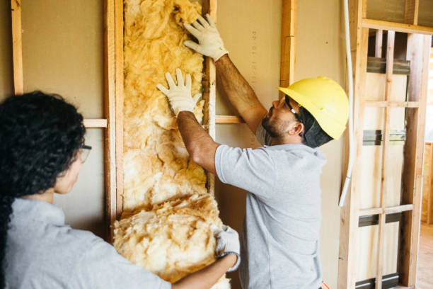 Best Energy-efficient Insulation  in Yutan, NE